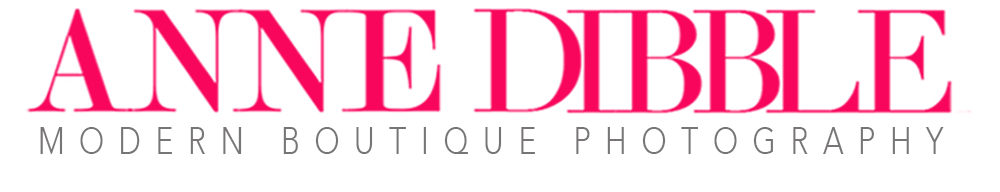 Anne Dibble Photography logo